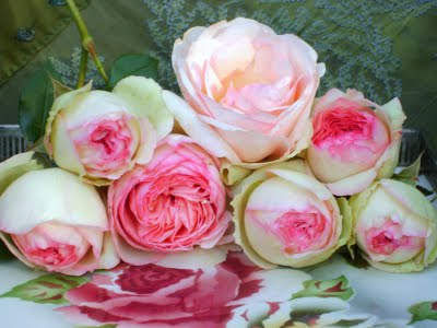 [Nov+11,09-flores+arreglos+3+121.jpg]