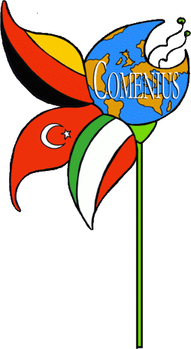 Comenius Logo, project 2006-2008