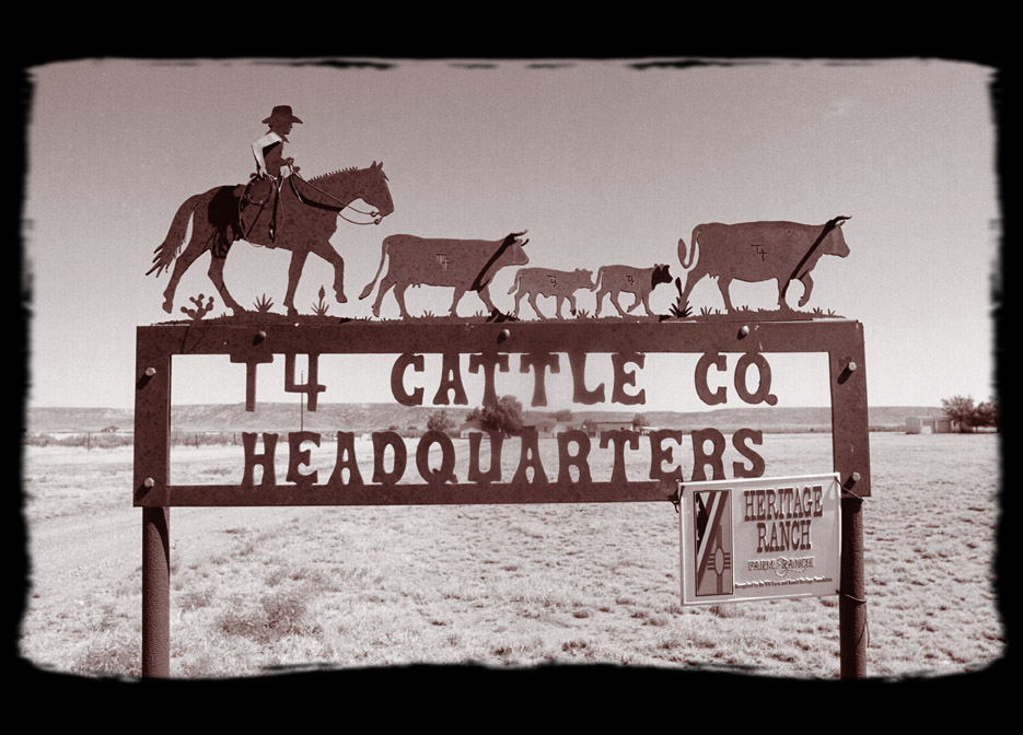 4C Ranch T4 Cattle co