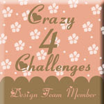 Crazy 4 Challenges