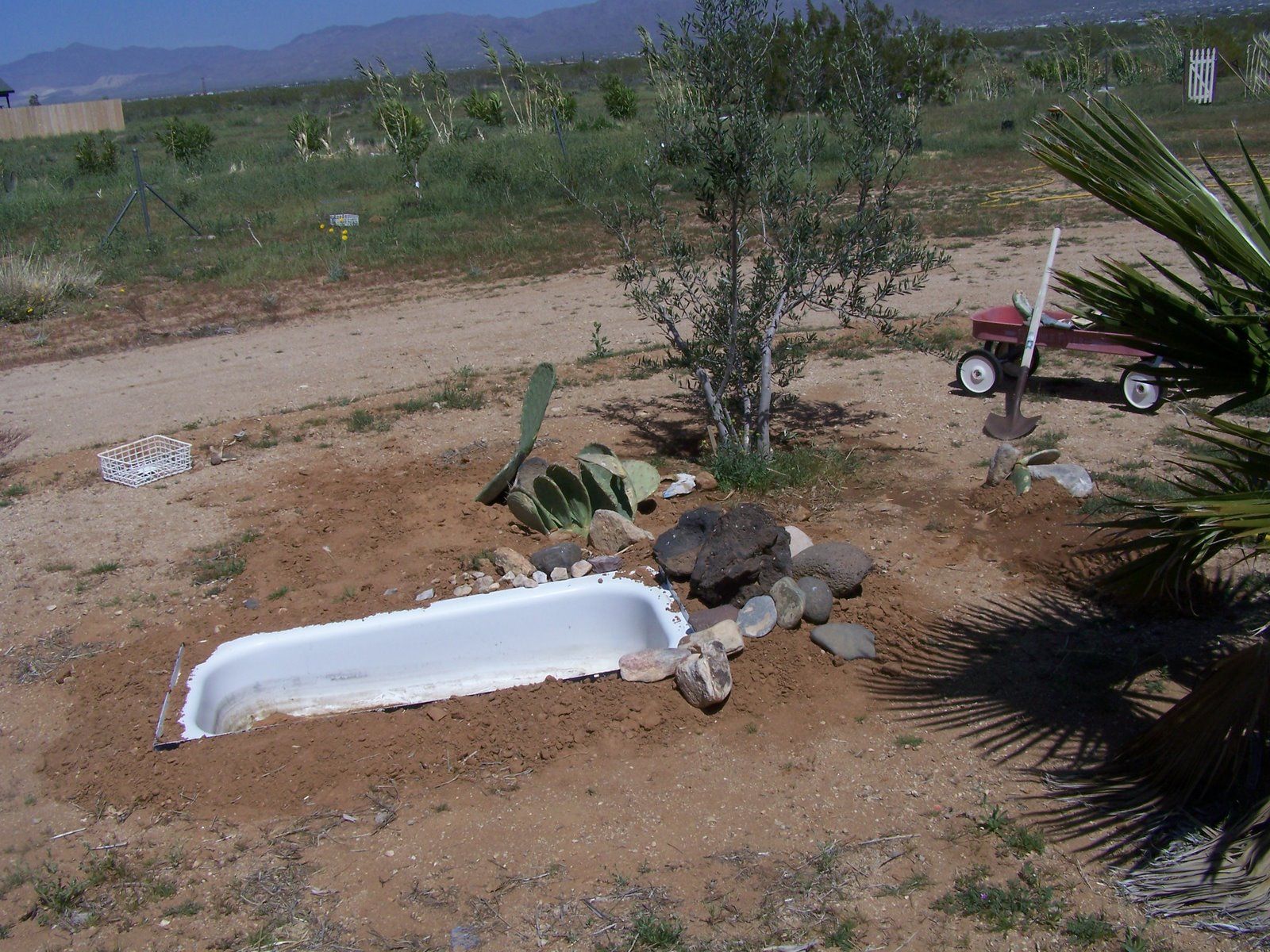 Living a Simple Life Progress with the bathtub fish pond.