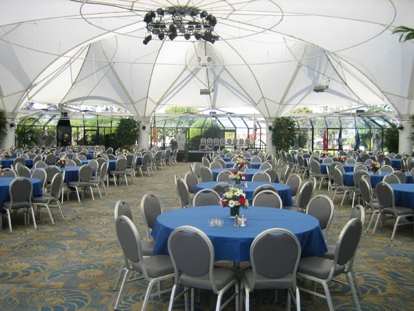 Veterans day 2024 food specials Veterans day 2024 food specials