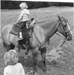 VIA Strength:  "Curiosity"