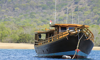 READ ABOUT KOMODO ISLAND and the dragons (Click Photo)