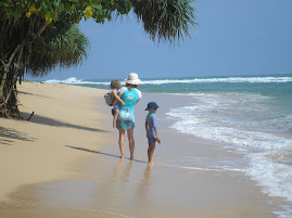 A Paradise shot of Sri Lanka
