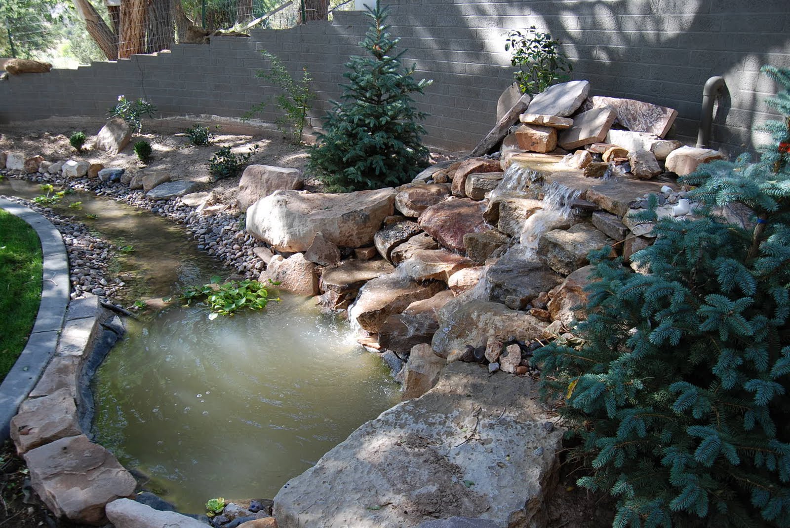 DIAMOND VALLEY GUEST RANCH....... FOR SALE (ALL OR PART)