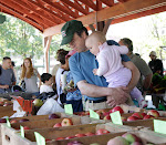 Its Apple Pickin' Time!