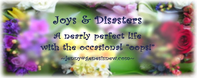 Joys & Disasters