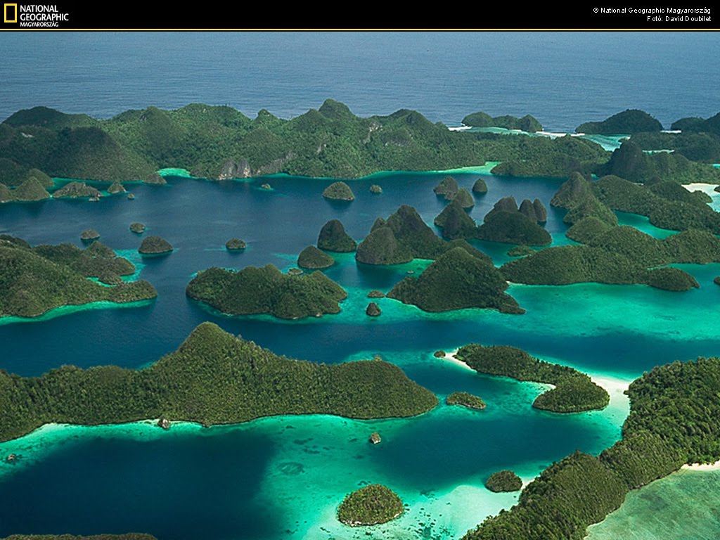 coral reef at archipelago raja ampat ~ The Miracle of Indonesia coral reef at archipelago raja ampat ~ The Miracle of Indonesia