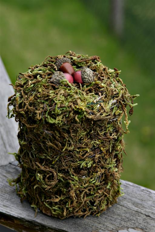 those northern skies: sheet moss and cornmeal boxes