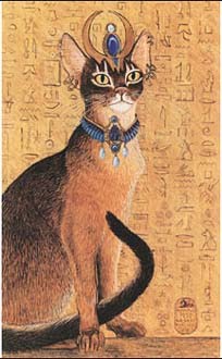 [C-cat-egypt.jpg]