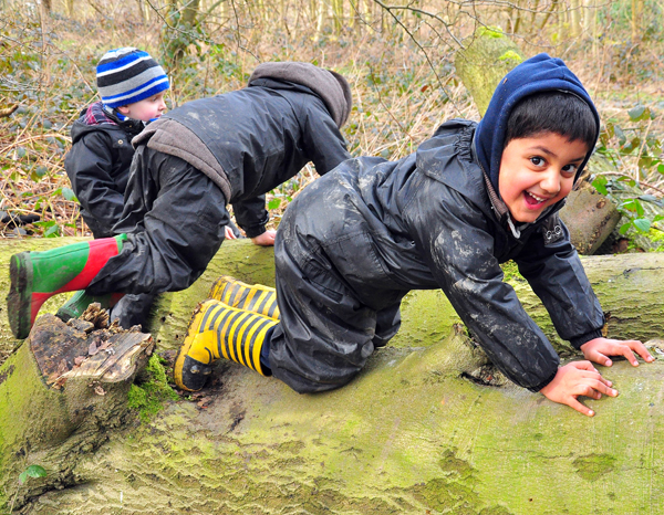 Download this Reflections Forest Schools picture