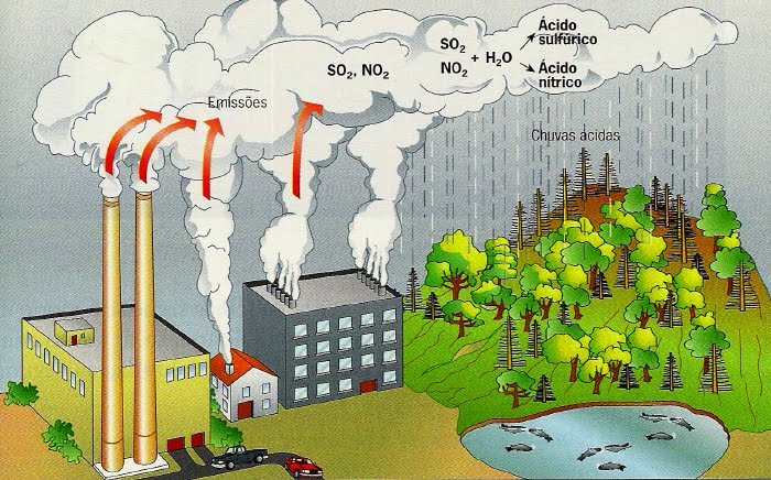 [perda+biodiversidade1.jpg]