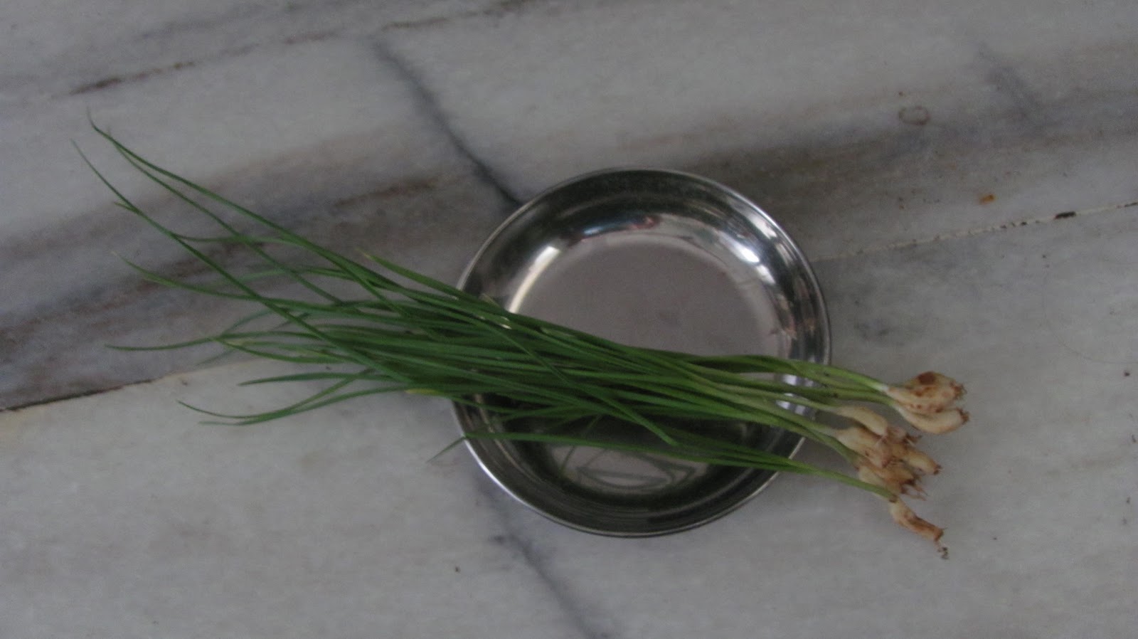 Tasty and Healthy Garlic leaves/LasooNichi paat