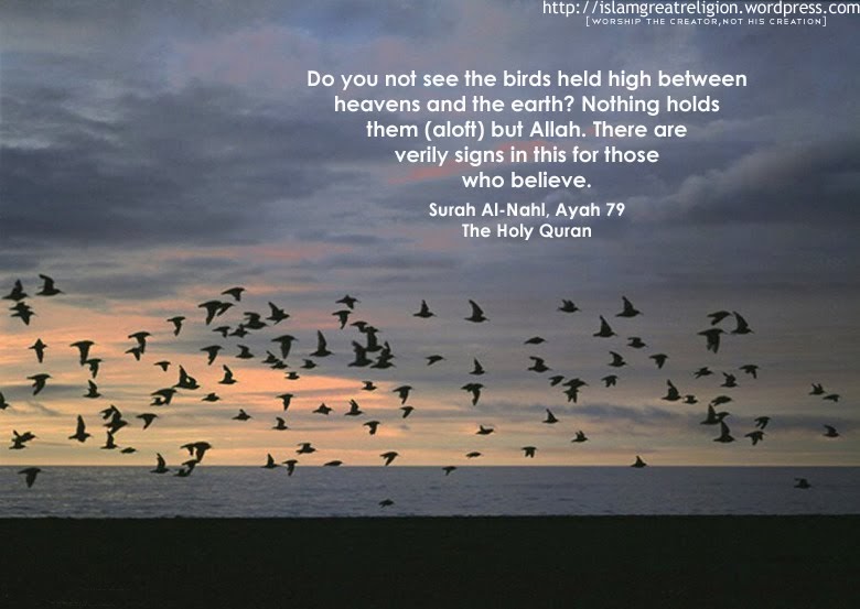 do you not see the birds held high between :: Quran Verses ...