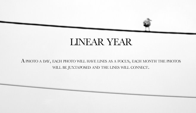 Linear Year
