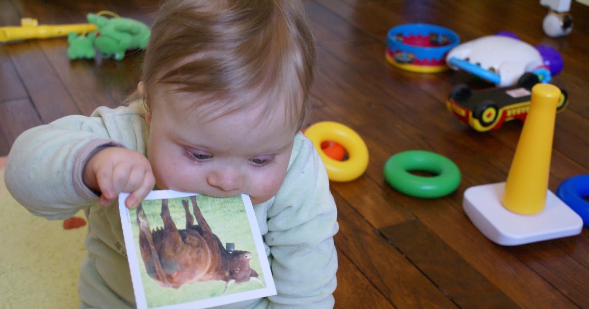 A Quoi Ca Sert De Chercher A Comprendre Bob Dylan Hector's blog: La permanence de l'objet