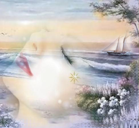 [sonhos_portoamor_top.jpg]