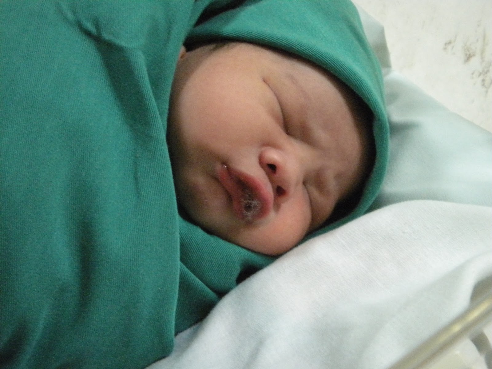 Warna-warna kehidupan