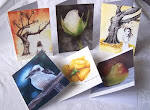 BUY  Cards & Prints