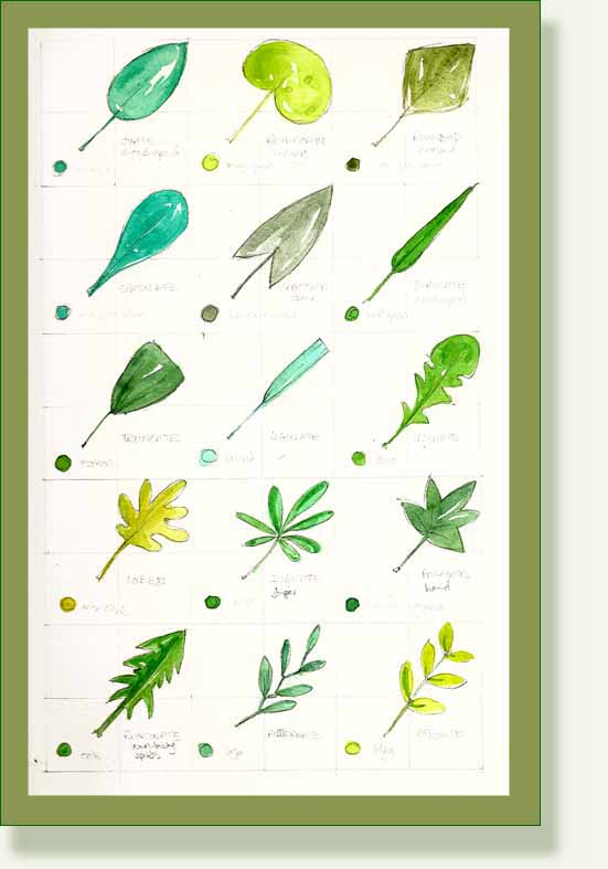 [leafchart1.jpg]