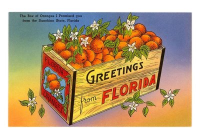 [Greetings-from-Florida-Orange-Crate-Print-C10284308.jpg]
