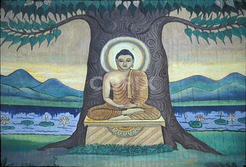 [MBU114C5.jpg]