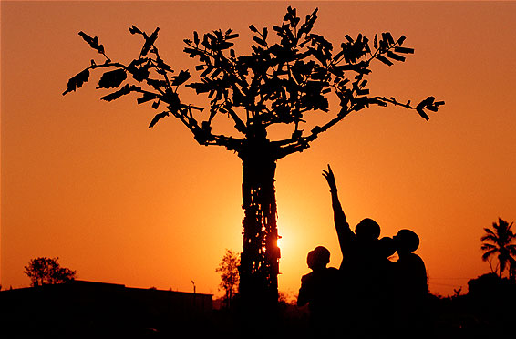 [Maputo+peace+park.jpg]
