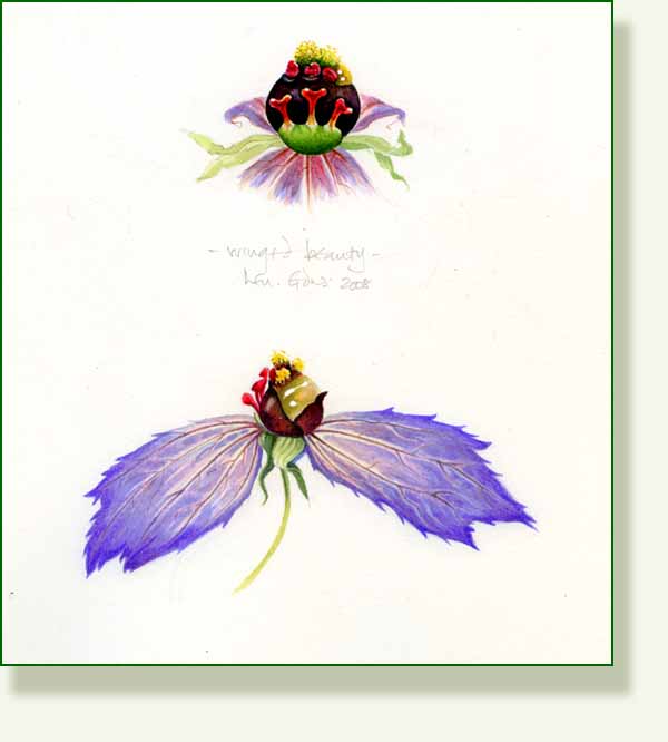 [winged+beauty.jpg]