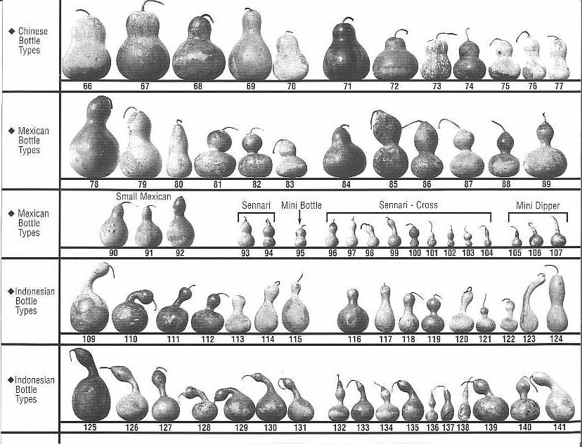 [~LWF00411.jpg]