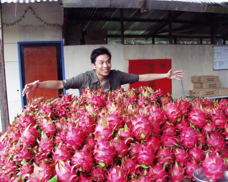 [Buah_10.jpg]