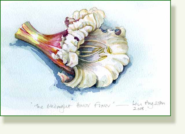 [midnight+horror+flower.jpg]