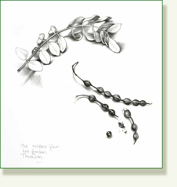 [necklace+plant.jpg]
