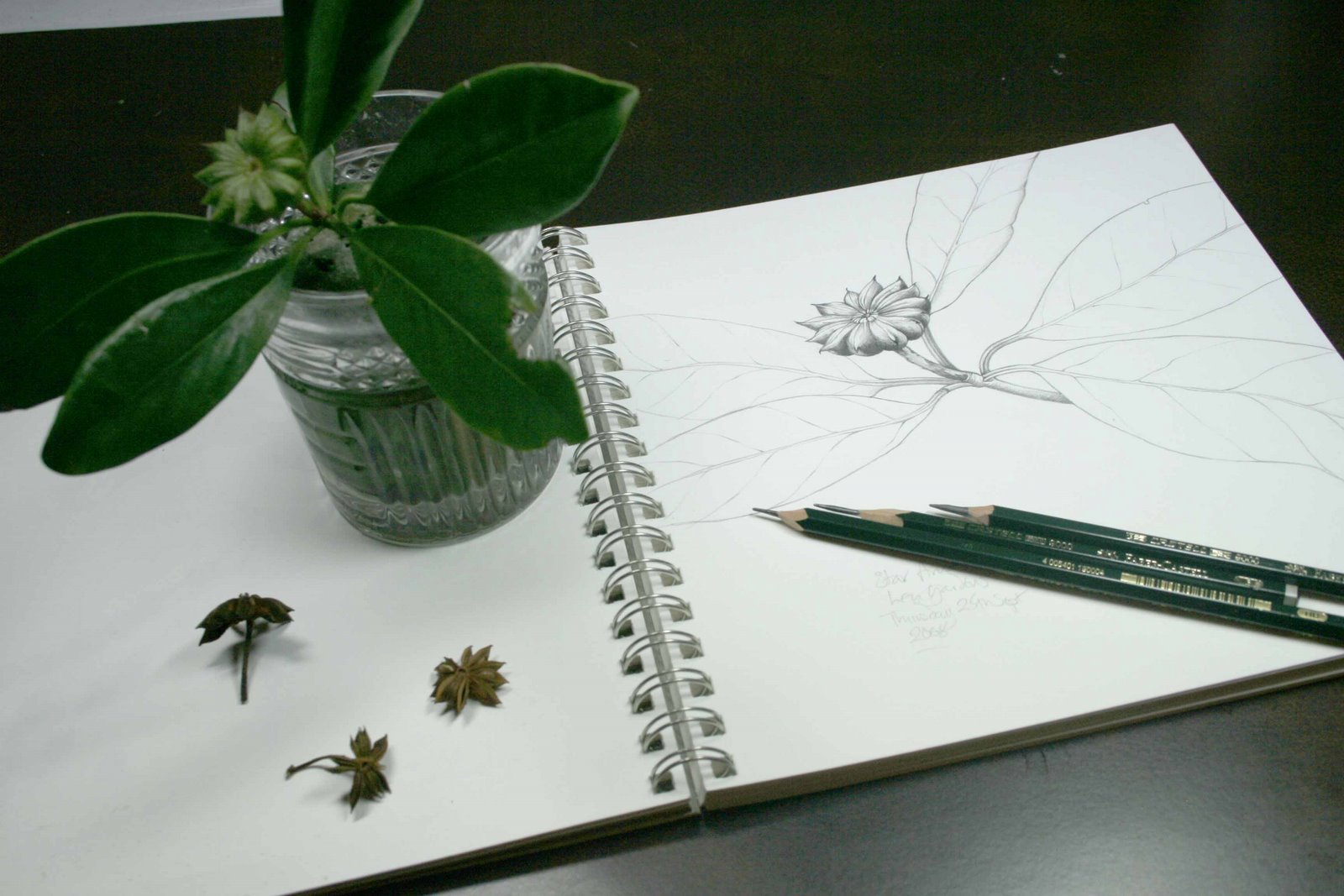 [anise+photo.jpg]