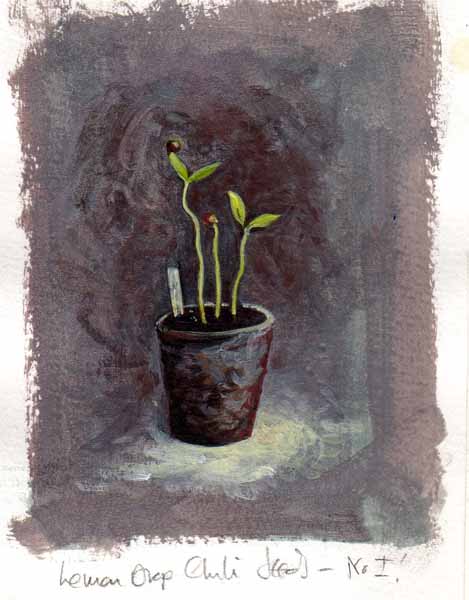[seedlings2.jpg]