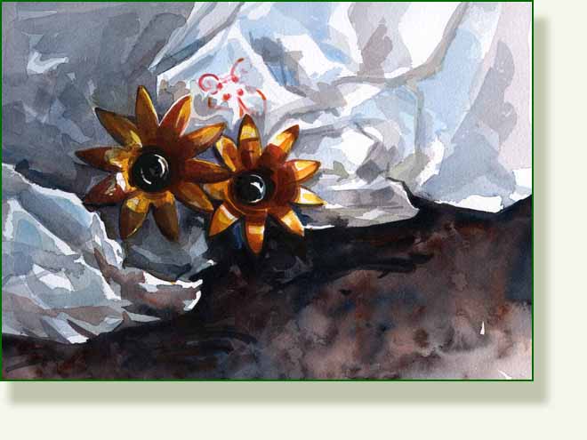 [black+eyed+susans.jpg]