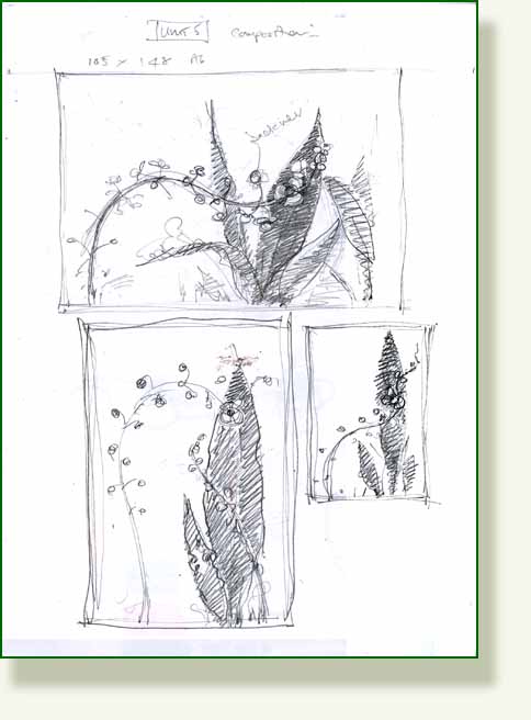 [plantain2.jpg]