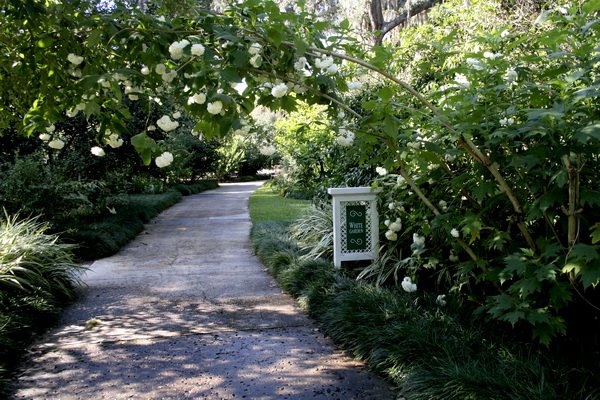 [white+garden.jpg]