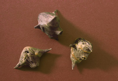 [21478a3b.jpg]