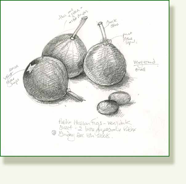 [pencil+figs.jpg]