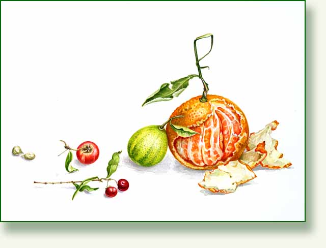 [finished+fruit.jpg]