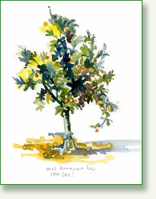 [oval+kumquat+citron+5.jpg]