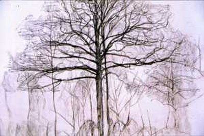 [mondrian_6.jpg]