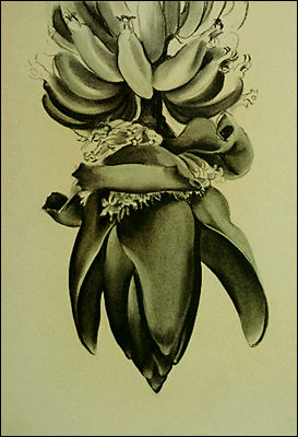 [aac_art_7401100hokeefe.jpg]