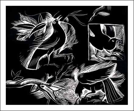 [grackles.jpg]
