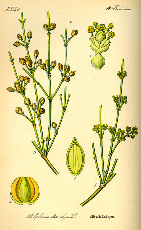 [tafel_028_small.jpg]