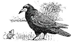 [rook+pen5.jpg]