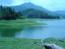 Kerala-One Of The Ten Hot Spots For The Millennium