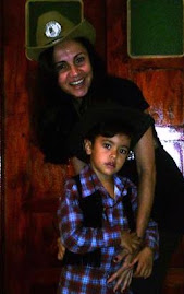São João 2008