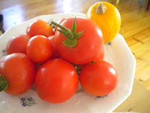 My Tomatoes and My Tiny Pumpkin